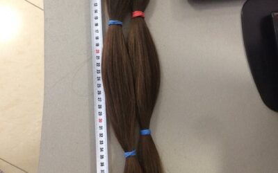 Как продать волосы? Инструкция