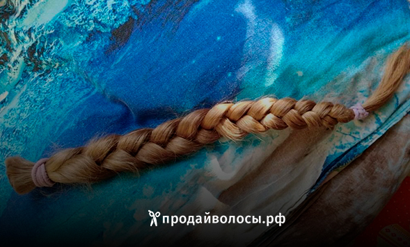 Продажа волос — какие волосы можно сдать за деньги?