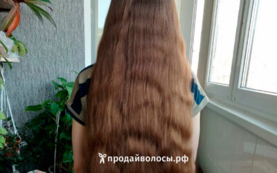 Сдать волосы в Москве в 2023 году | Напрямую