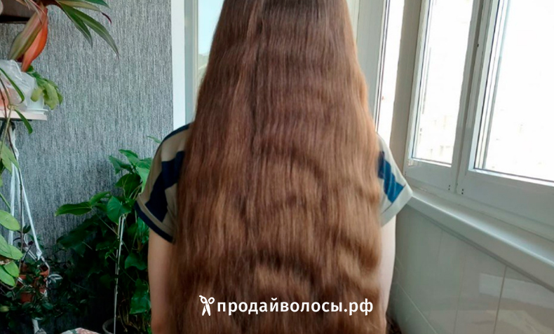 Сдать волосы в Москве в 2023 году | Напрямую