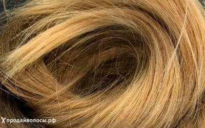 Руководство по продаже натуральных волос — 2024