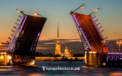 Сколько можно заработать на продаже волос в Санкт-Петербурге?
