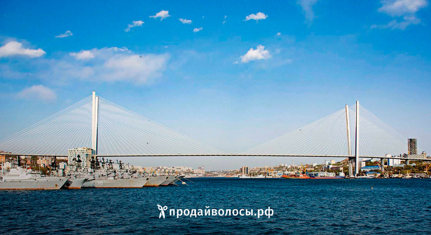 Скупка волос во Владивостоке — работаем 24/7!