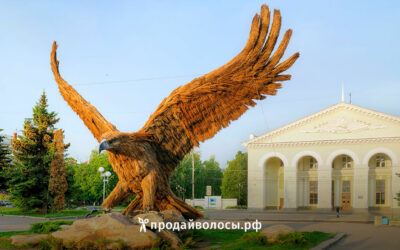 Купим волосы в Орле – лучшие условия от надежного покупателя