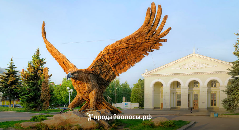 Купим волосы в Орле – лучшие условия от надежного покупателя
